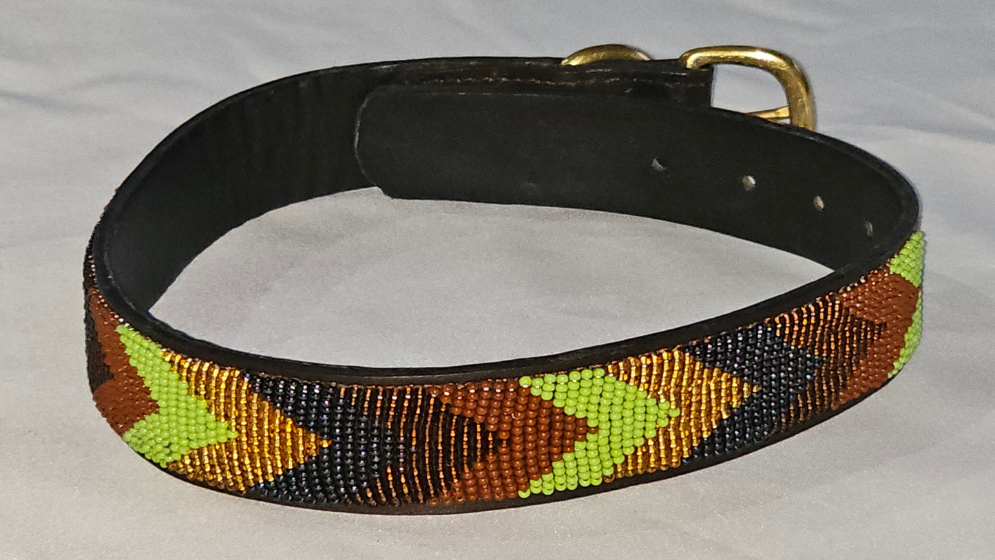Collar para perro de 22" con paseo colorido