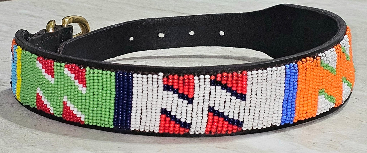 Collar para perro de 22" con paseo colorido