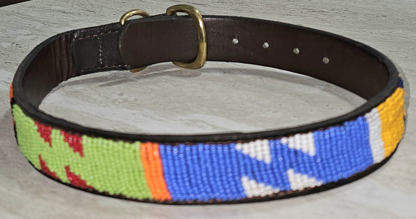 Collar para perro de 22" con paseo colorido