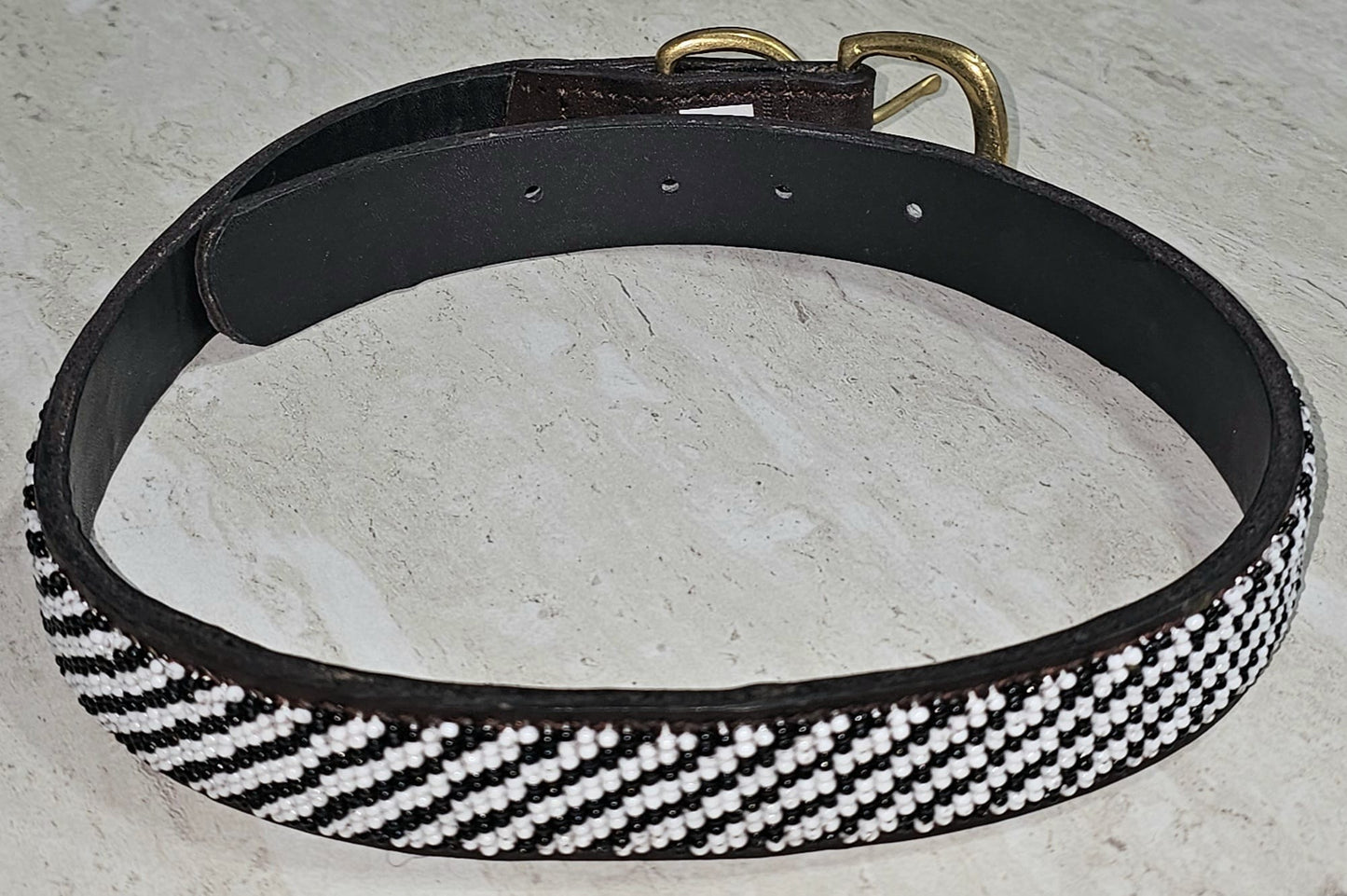 Collar para perro de 22" con paseo colorido
