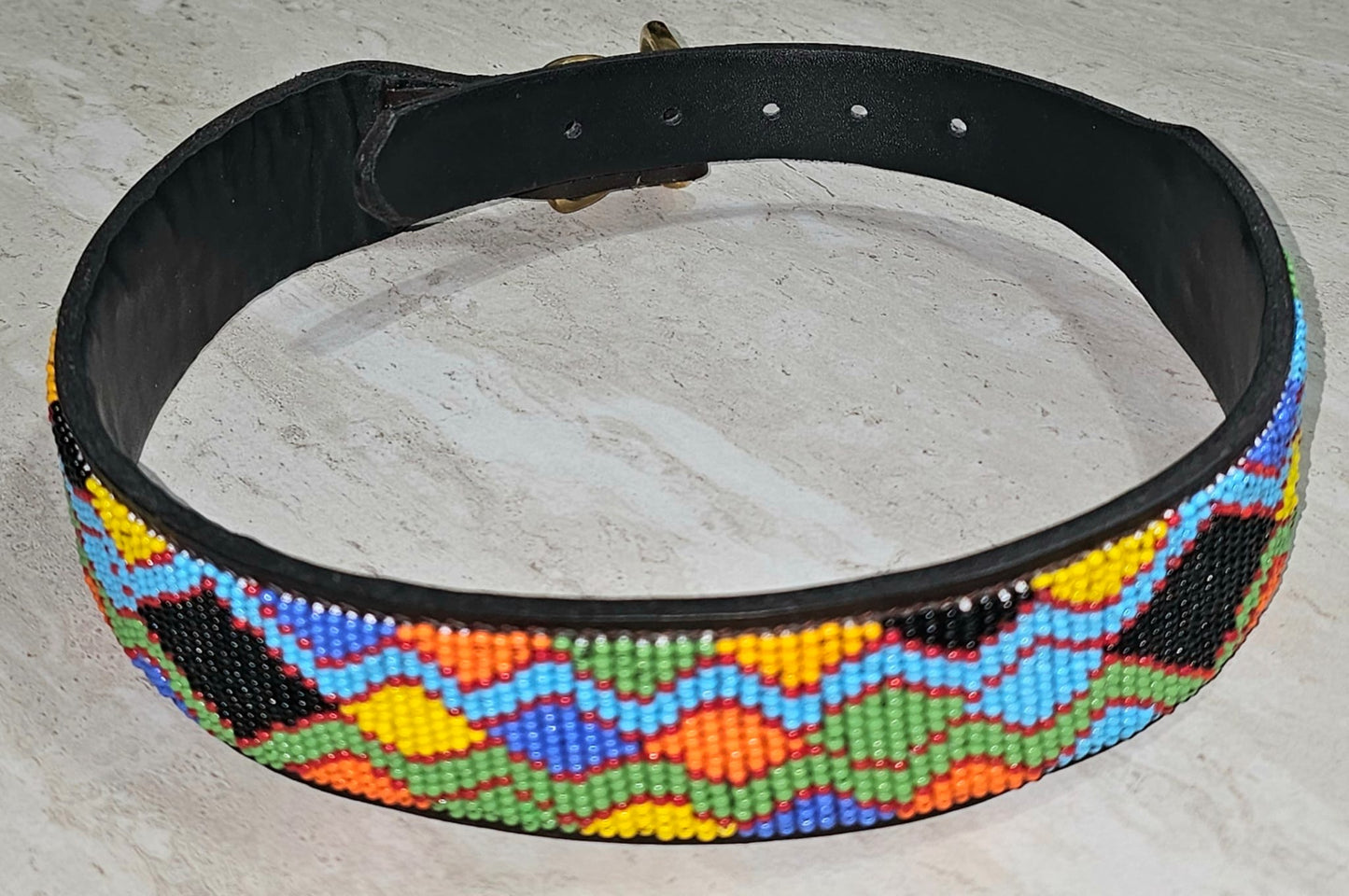 Collar para perro de 22" con paseo colorido