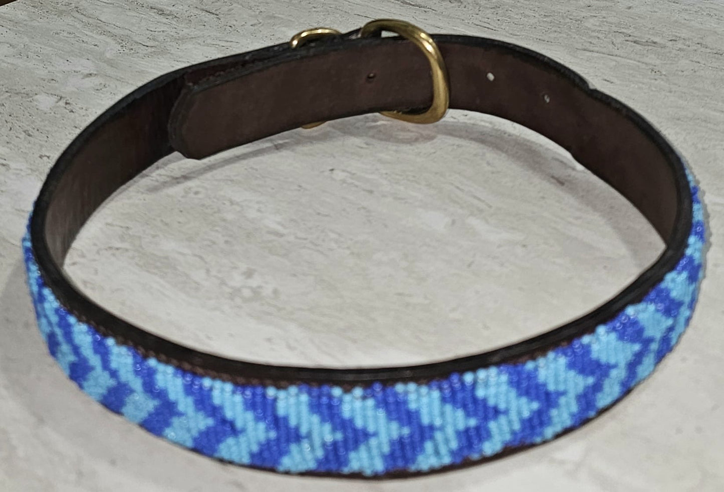 Collar para perro de 22" con paseo colorido