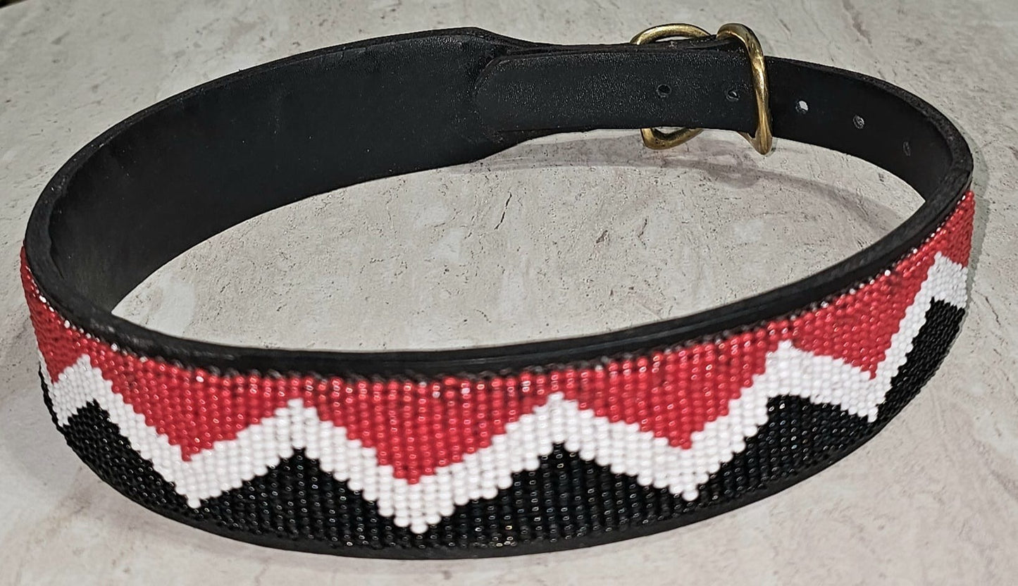 Collar para perro de 22" con paseo colorido